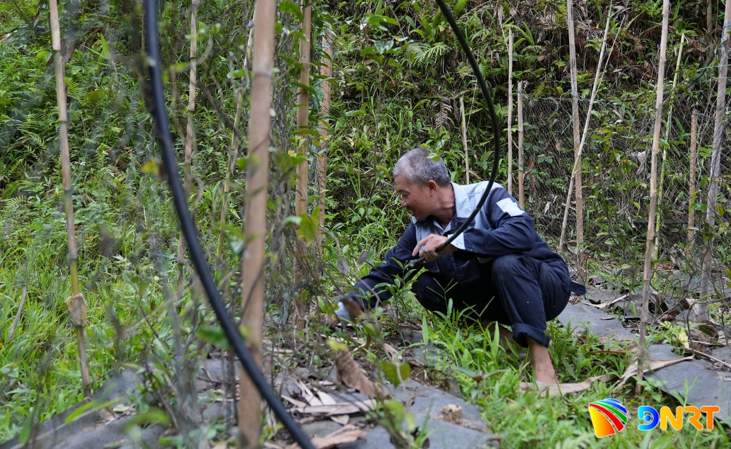tay giang f023ba74ffcc856ded8b32b445aad0b1 1791268587